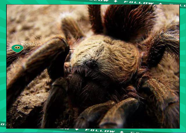 爱游戏体育-莱万多夫斯基赛事官方发布比分优势明显新规，湖人争议不断！的简单介绍